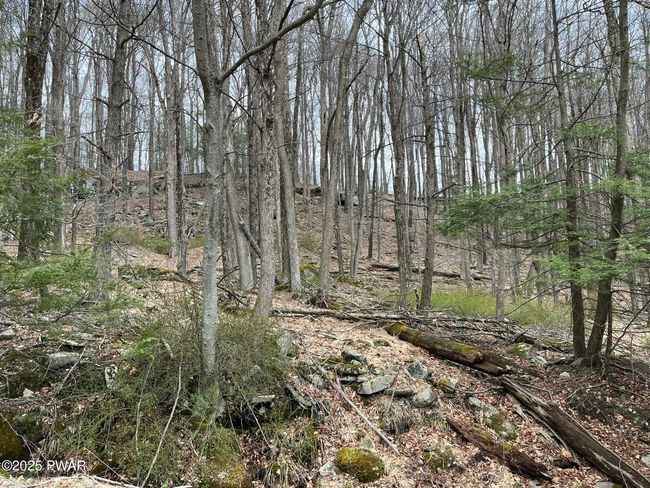 Lot View | Image 5