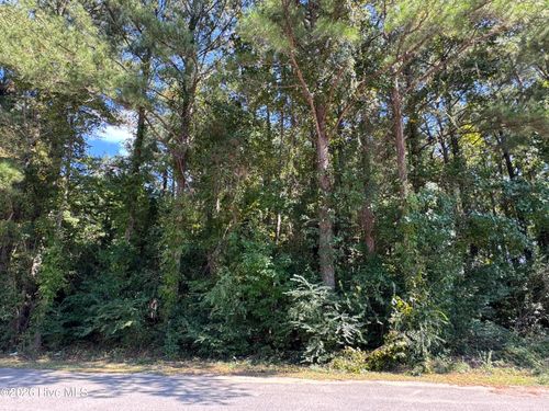 Near 90 Honey Hill Rd, Hallsboro, NC, 28442-9337 | Card Image