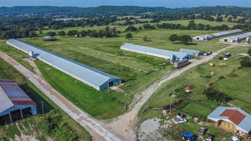 1941 Marion County 5002, Yellville, AR, 72687-7936 | Card Image