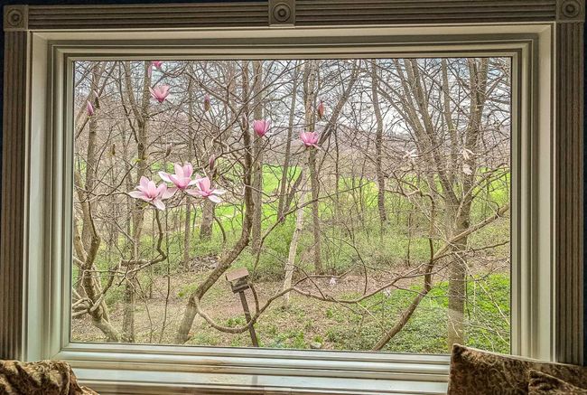 S10284 Dead End Rd, Home with 4 bedrooms, 3 bathrooms and null parking in PLAIN WI | Image 12