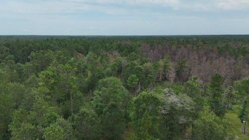 0 Tom Marsh Rd, Livingston, TX, 77351 | Card Image