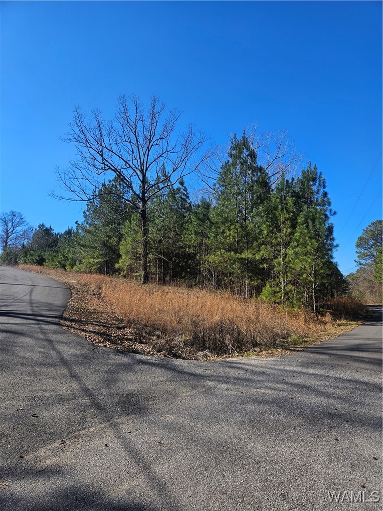 Land in Woodstock