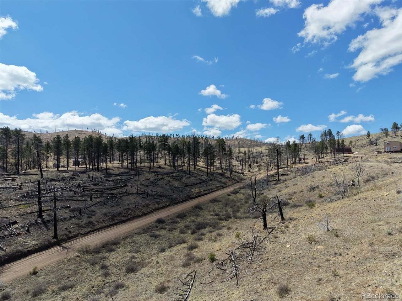 Land in Fort Garland 3