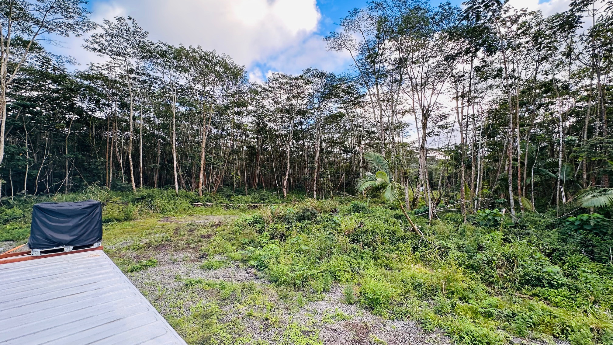 Land in Pahoa 2