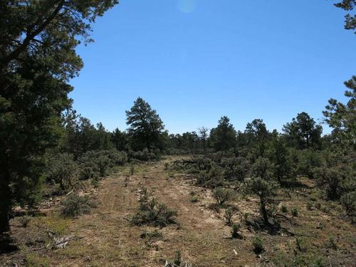 38 Servilleta Lot 38, Tres Piedras, NM, 87577 | Card Image