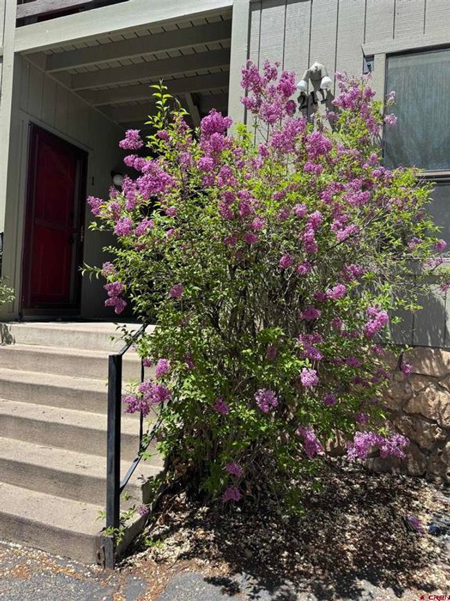 APT-2 - 3211 W 5 Th Ave, Condo with 2 bedrooms, 2 bathrooms and null parking in Durango CO | Image 23