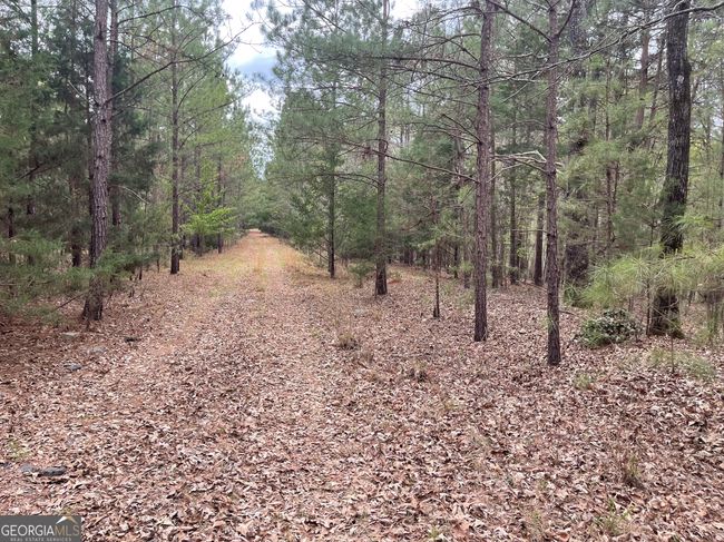 0 Green Oak Cir, Home with 0 bedrooms, 0 bathrooms and null parking in Thomaston GA | Image 37