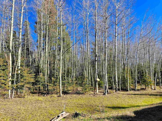 2 Acres Off Quail Ridge, Home with 0 bedrooms, 0 bathrooms and null parking in Angel Fire NM | Image 17
