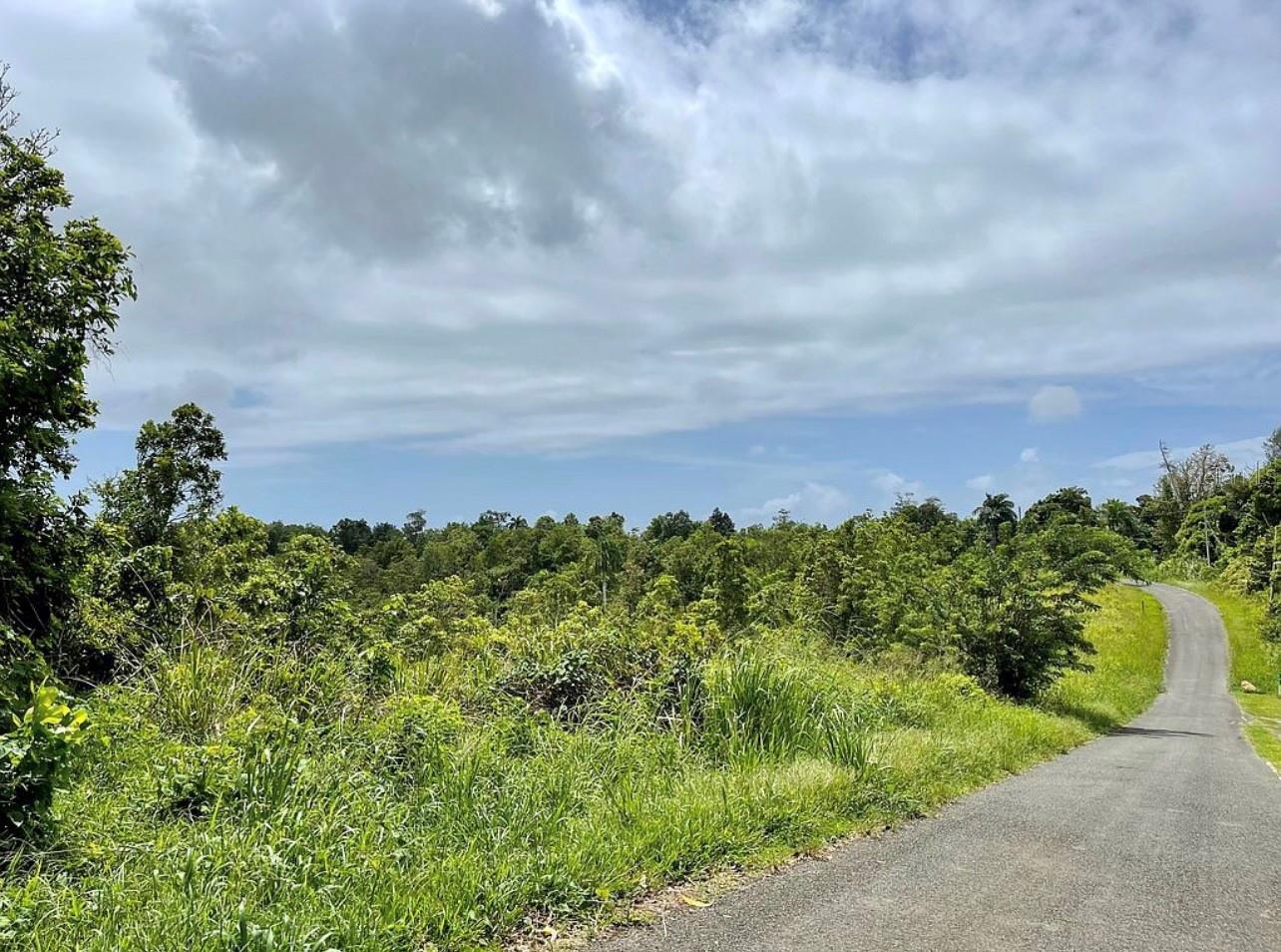 Land en venta en CEIBA, 975 CEIBA , BO RIO ABAJO