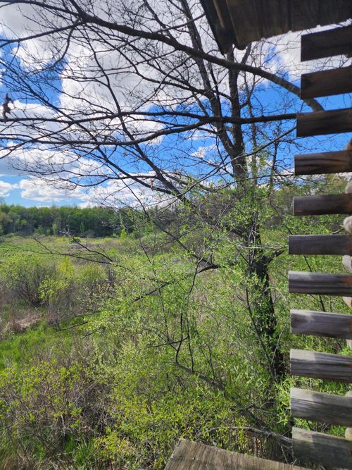 12 Mile Road, Ceresco, MI, 49033 | Card Image