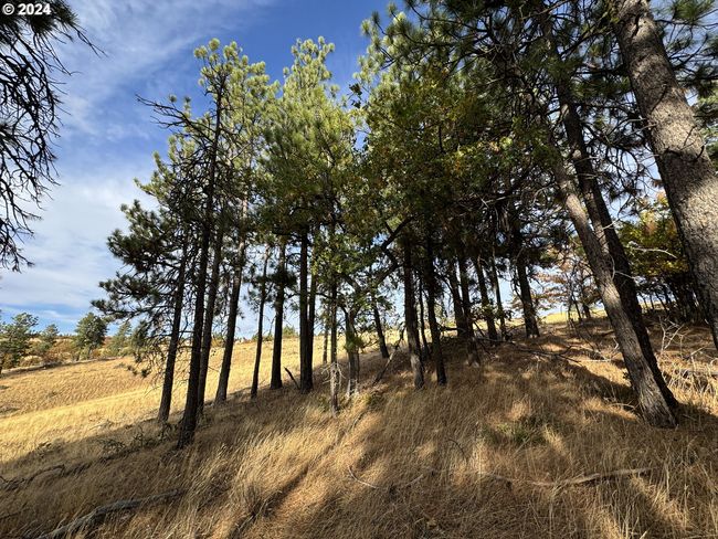 0 Jensen Quarry Rd, Home with 0 bedrooms, 0 bathrooms and null parking in Bickleton WA | Image 17