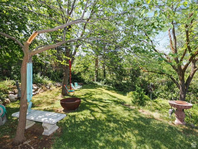 View of grassy yard | Image 65