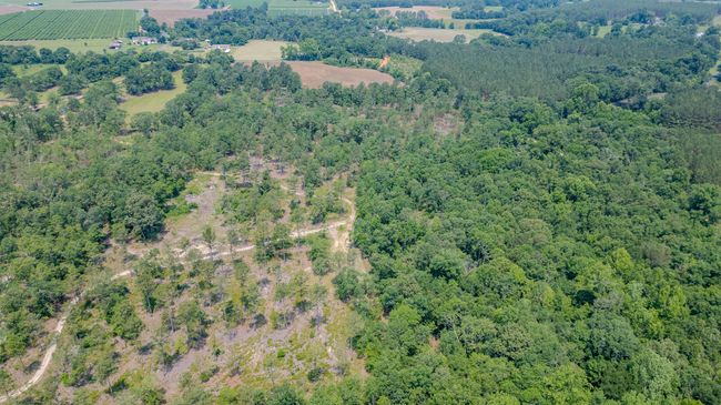 161 Derrick Rd, Home with 0 bedrooms, 0 bathrooms and null parking in Johnston SC | Image 7