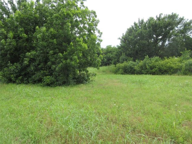 View of undeveloped land | Image 8