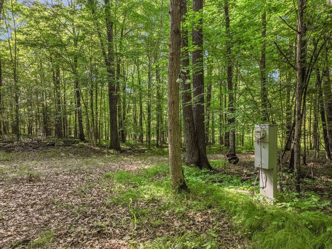 7418 Flambeau Point Rd, Home with 0 bedrooms, 0 bathrooms and null parking in LADYSMITH WI | Image 4