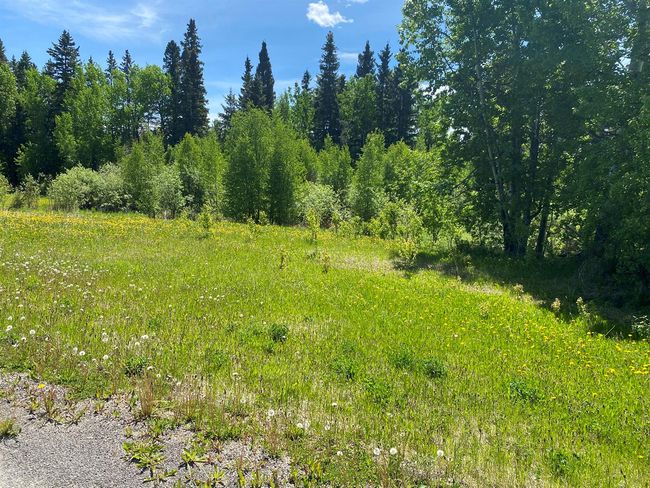 9 - 15015 Township Road 424, Home with 0 bedrooms, 0 bathrooms and null parking in Bashaw AB | Image 8
