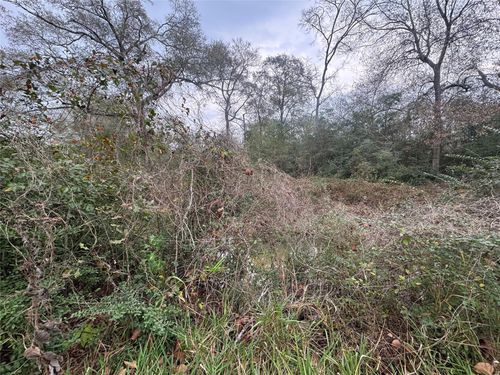 0 N Bonnie Lake Dr, Hempstead, TX, 77445 | Card Image