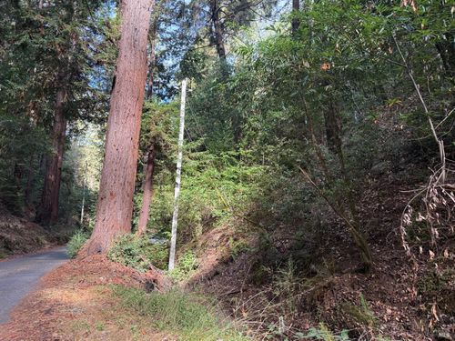 11714 Canyon Dr, Guerneville, CA, 95446-9424 | Card Image