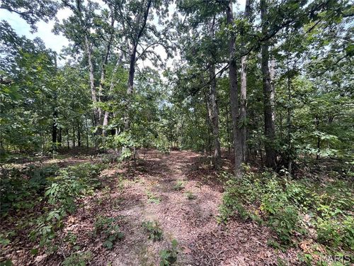 tbd Partridge Dr, Climax Springs, MO, 65324 | Card Image