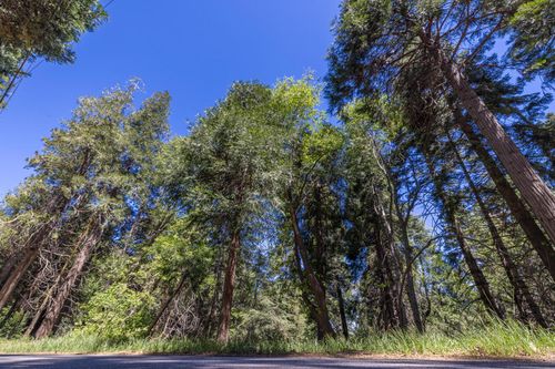 Lot 78 Cedar Pines Drive, Crestline, CA, 92325 | Card Image