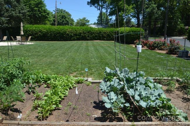 Community garden | Image 29