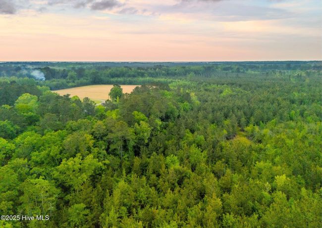 0 Maules Point Rd, Home with 0 bedrooms, 0 bathrooms and null parking in Blounts Creek NC | Image 6