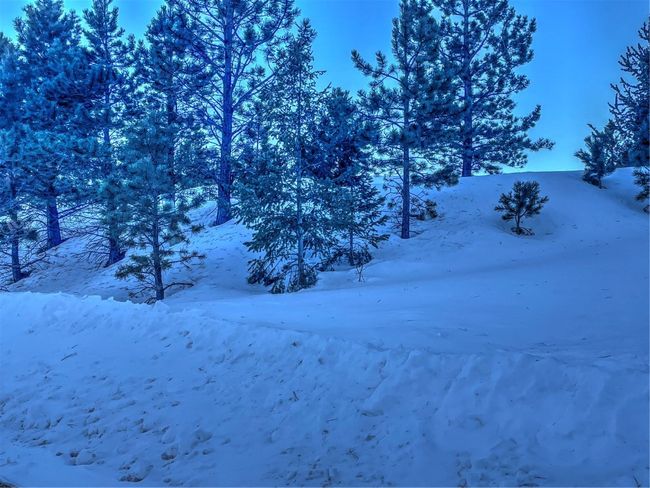 1174 Monarch Dr, Home with 0 bedrooms, 0 bathrooms and null parking in Cripple Creek CO | Image 26