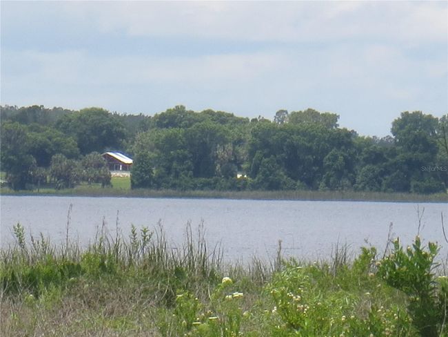 Ocala National Forest Activity | Image 77