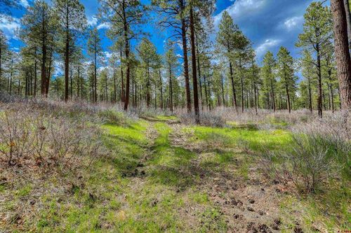 X Hidden Valley Dr, Pagosa Springs, CO, 81147 | Card Image