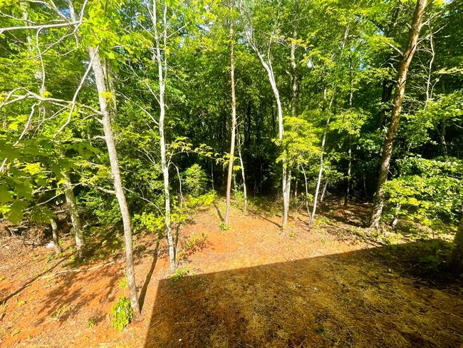 Lot 6 Chimney Top Trl, House other with 2 bedrooms, 2 bathrooms and null parking in Murphy NC | Image 18