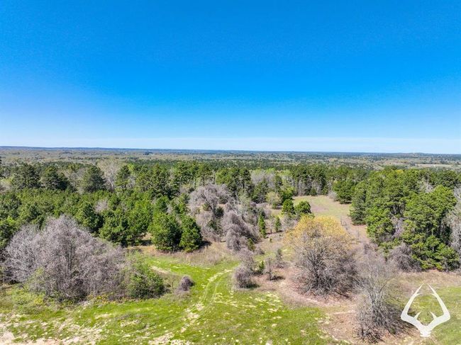 2 E Fm 323, Home with 0 bedrooms, 0 bathrooms and null parking in Palestine TX | Image 22
