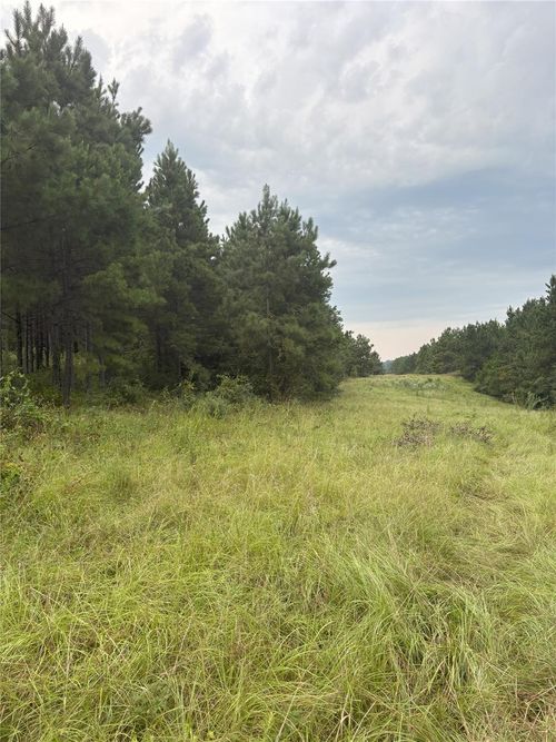 1388 County Road 1060, Center, TX, 75935 | Card Image