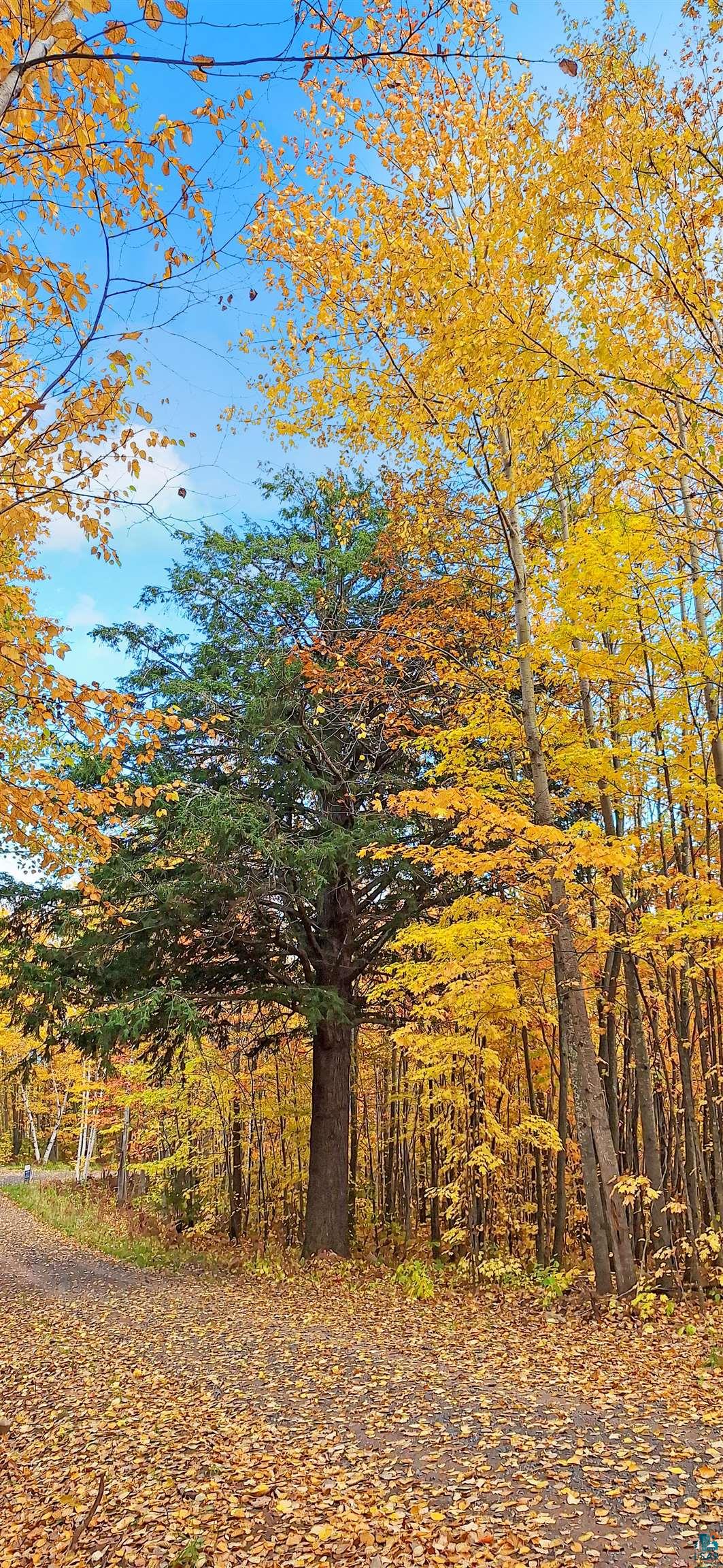 Land in Bayfield 3