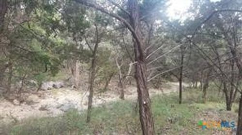 603 Copper Trce, New Braunfels, TX, 78132-3956 | Card Image