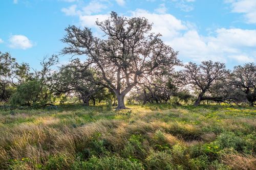 7554 Us Highway 87 E, Eden, TX, 76837 | Card Image