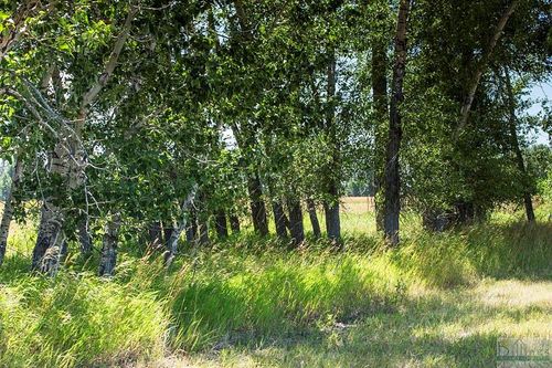 TBD Meadowlark Cir (Lot 9), Roberts, MT, 59070 | Card Image