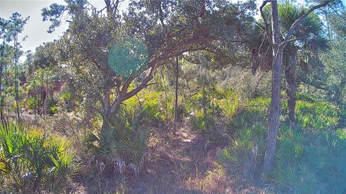 13093 Harbison Ave, PORT CHARLOTTE, FL, 33953 | Card Image