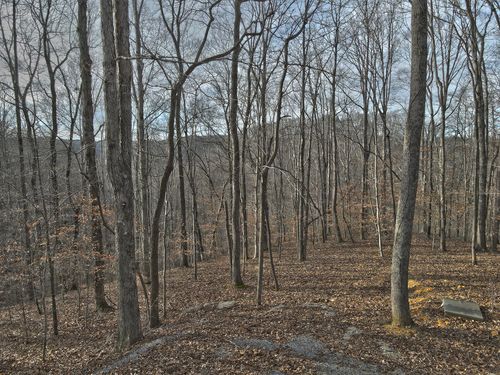 26 Piper Ln, Russell Springs, KY, 42642-8604 | Card Image