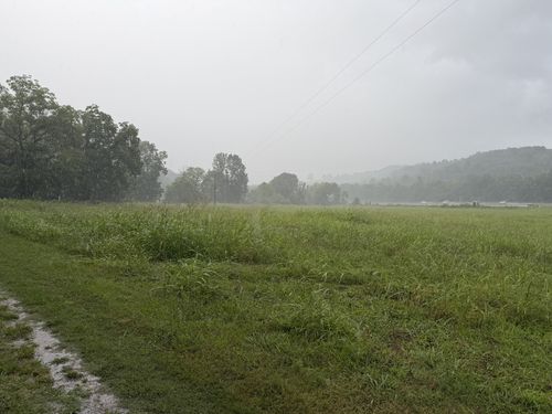 4027 Panhandle Rd, Wartrace, TN, 37183-3709 | Card Image