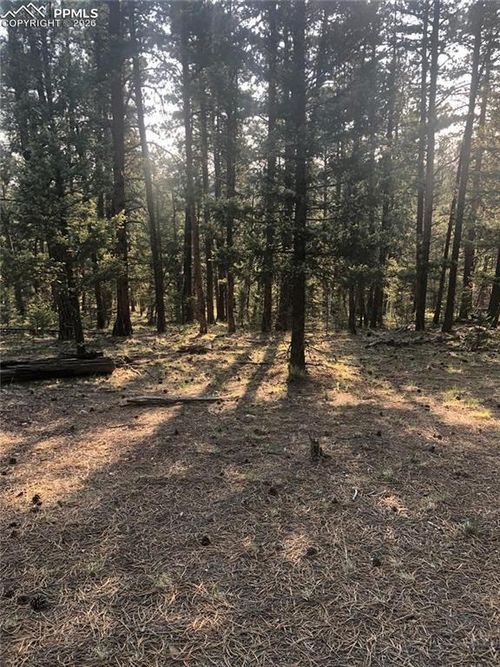 469 Echo Lake Drive, Lake George, CO, 80827 | Card Image