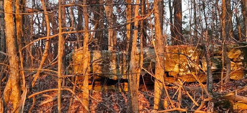 000 Underwood Mountain Rd, Tuscumbia, AL, 35674 | Card Image