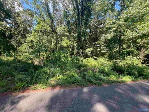 11.7 Slicklizzard Rd, Nauvoo, AL, 35578 | Card Image