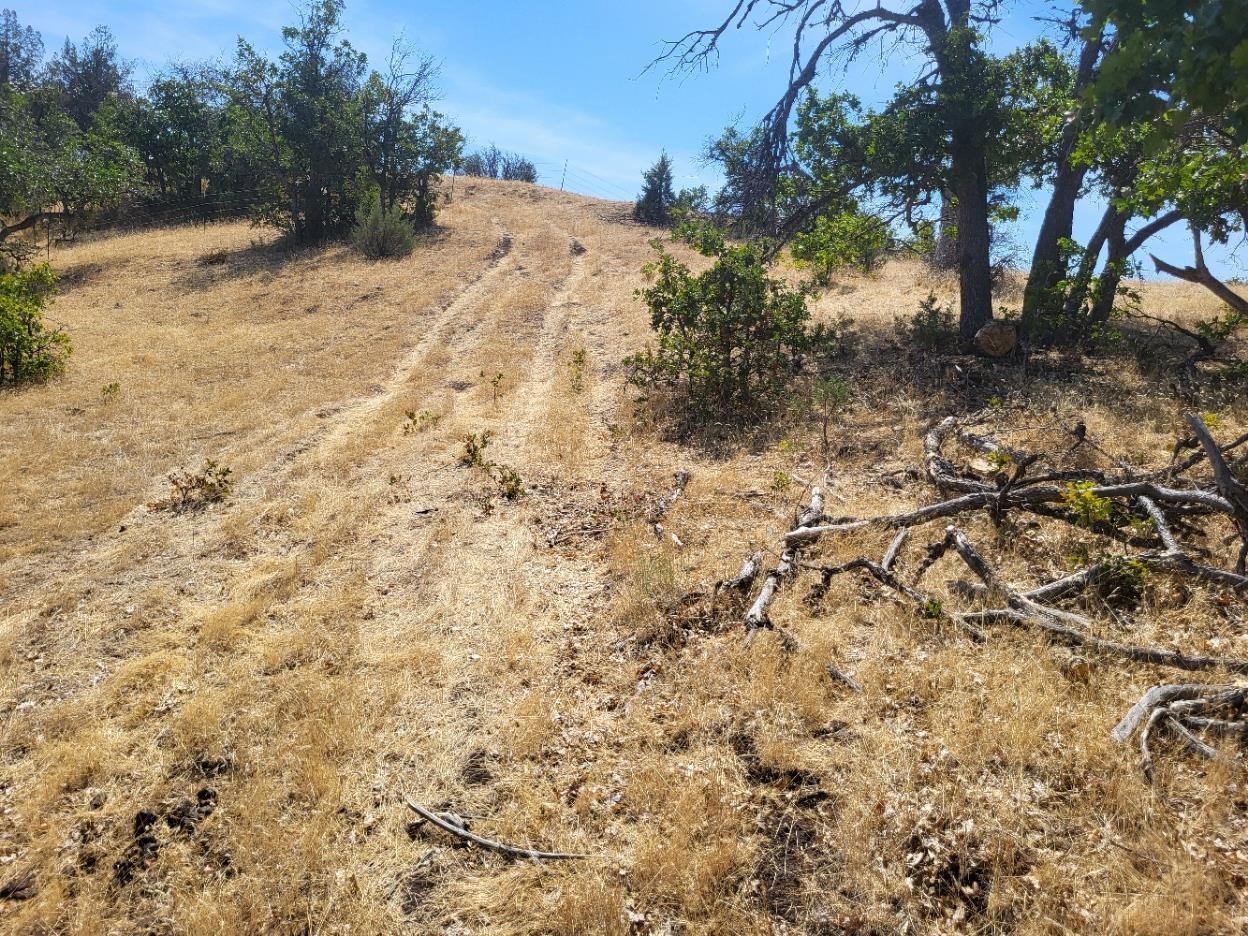 Land in Hornbrook 4