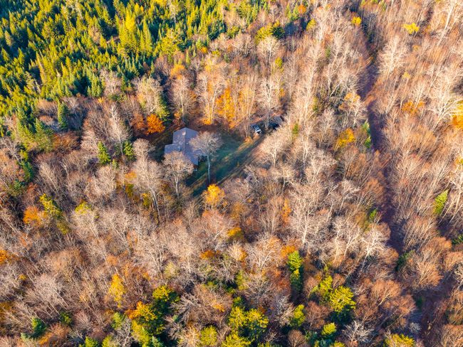 134 Haystack Mountain Road, House other with 4 bedrooms, 1 bathrooms and null parking in Piercefield NY | Image 9