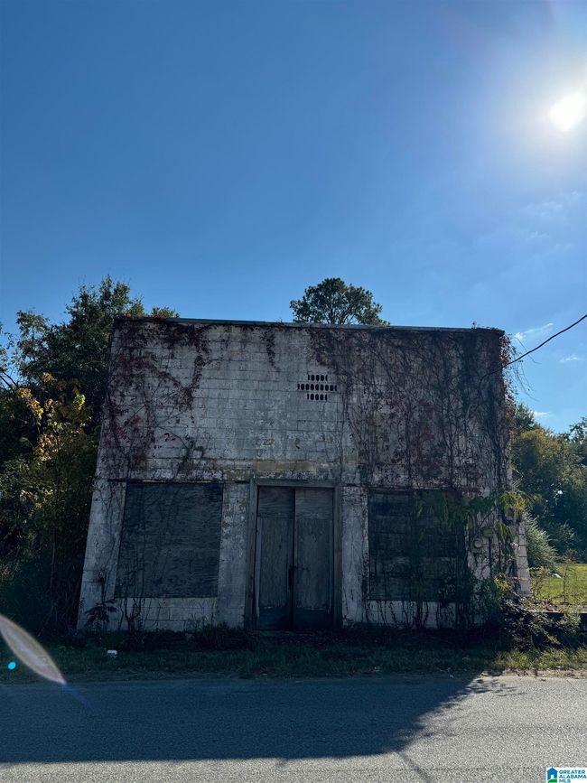 1 - 00 Main St, Home with 0 bedrooms, 0 bathrooms and null parking in Brent AL | Image 15