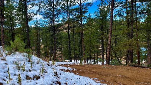 15126 N Pine Lake Pl, Woodland Park, CO, 80863 | Card Image