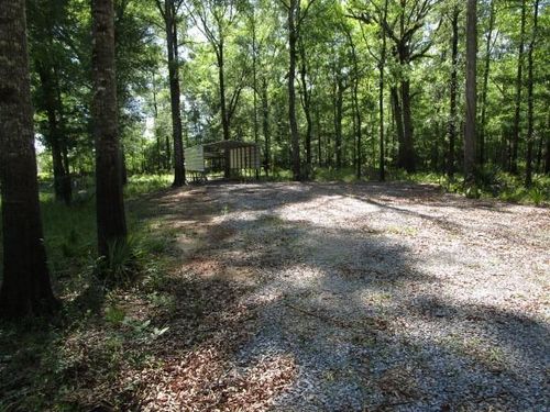 0 Cross Bayou (Lilly Road) Road, Jonesville, LA, 71343 | Card Image