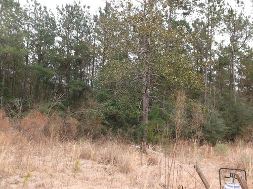 No Caston Rd, McComb, MS, 39648 | Card Image