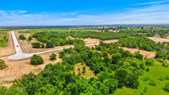 4008 Luciano Dr, Home with 0 bedrooms, 0 bathrooms and null parking in Brock TX | Image 7