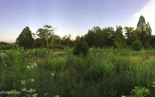 10528 Thorngrove Pike, Strawberry Plains, TN, 37871 | Card Image